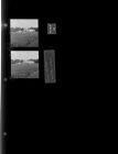 Grifton plant (2 Negatives (June 25, 1960) [Sleeve 88, Folder b, Box 24]